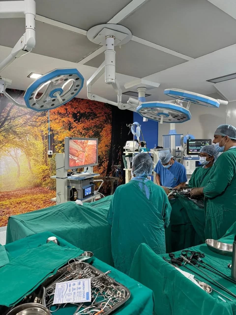 Surgical gallery image 11